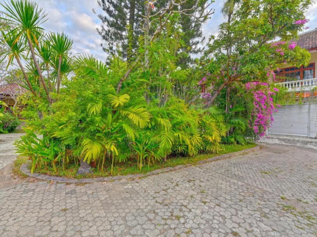 Oyo 91503 Hotel Gedong Ayu Near Sanur 乌布 外观 照片